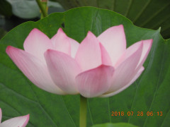 DSCN0395.JPG