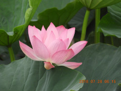 DSCN0398.JPG