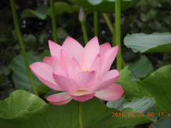 DSCN0403.JPG