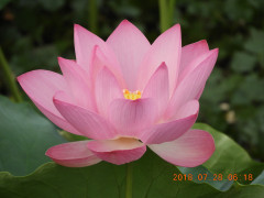 DSCN0407.JPG