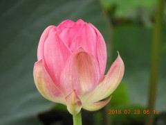 DSCN0409.JPG