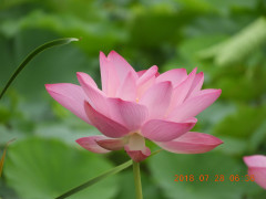 DSCN0421.JPG