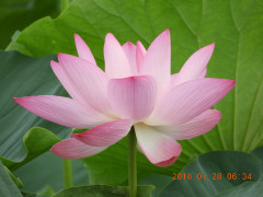 DSCN0420.JPG