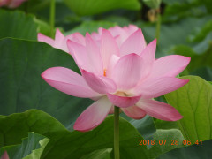 DSCN0427.JPG