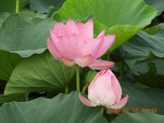 DSCN0404.JPG