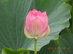 DSCN0426.JPG