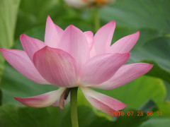 DSCN0415.JPG