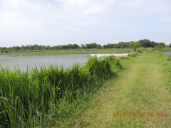 DSCN9939.JPG
