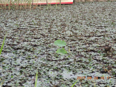 DSCN9971.JPG