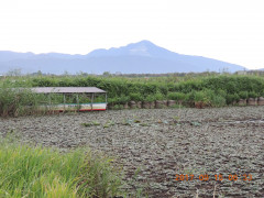 DSCN9962.JPG