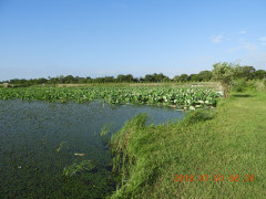 DSCN0982.JPG