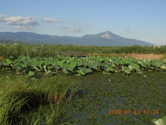 DSCN0264.JPG