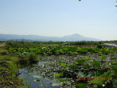 DSCN0446.JPG