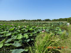 DSCN0448.JPG