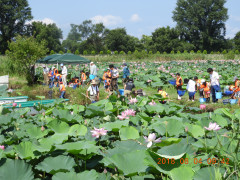 DSCN0973.JPG