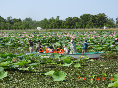 DSCN0979.JPG