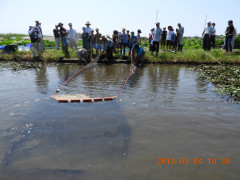 DSCN0989.JPG