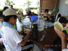 DSCN1006.JPG