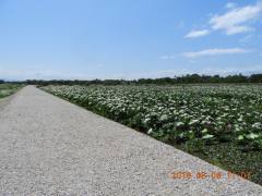 DSCN1048.JPG