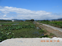 DSCN1047.JPG