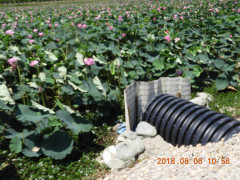 DSCN1041.JPG
