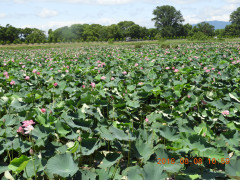 DSCN1042.JPG