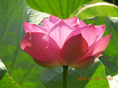 DSCN1043.JPG