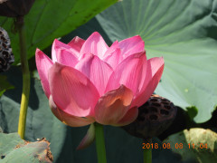 DSCN1046.JPG
