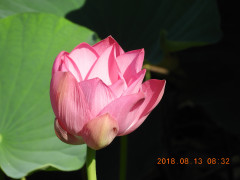 DSCN5732.JPG
