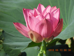 DSCN5735.JPG