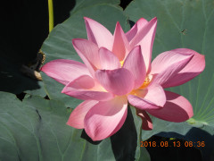 DSCN5736.JPG