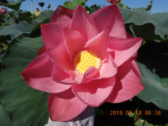 DSCN5738.JPG