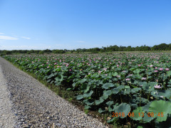 DSCN5742.JPG