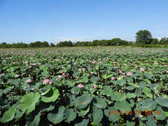 DSCN5743.JPG