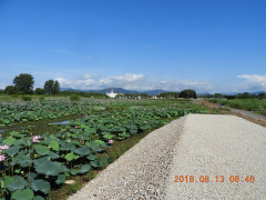 DSCN5744.JPG