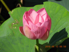 DSCN5749.JPG