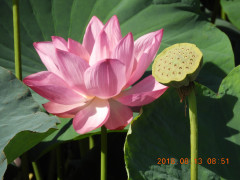 DSCN5750.JPG