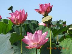 DSCN5751.JPG