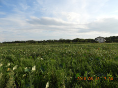DSCN5765.JPG