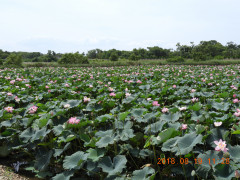 DSCN0037.JPG