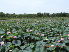 DSCN0038.JPG