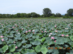 DSCN0039.JPG