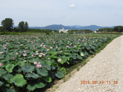 DSCN0040.JPG