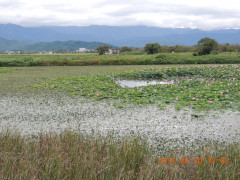 DSCN5149.JPG