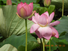 DSCN0111.JPG