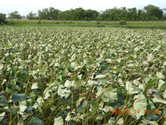 DSCN0115.JPG