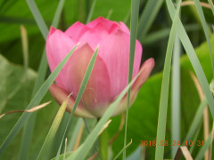 DSCN0117.JPG