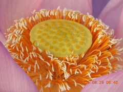 DSCN0146.JPG