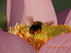 DSCN0155.JPG