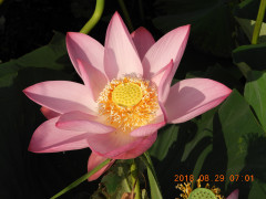 DSCN0164.JPG